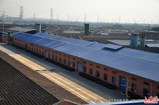 走進林牌地板 探訪工廠風貌與全實景產(chǎn)品展示，領略特殊鋼工藝的卓越品質(zhì)